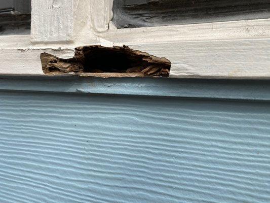 Rotten Pella windows