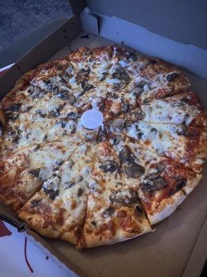 Mushroom pizza