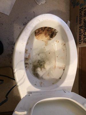 very dirty toilet becomes...