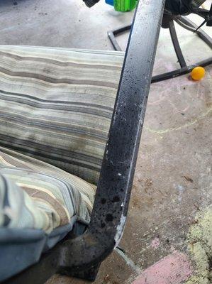 Urine all over outdoor patio furniture