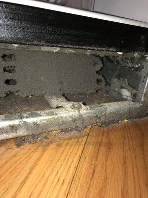 Is your refrigerator working too hard because of lint build up? Let us check it out for you