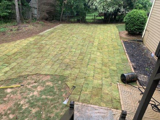 Sod installation