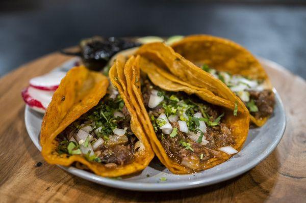 Birria Tacos