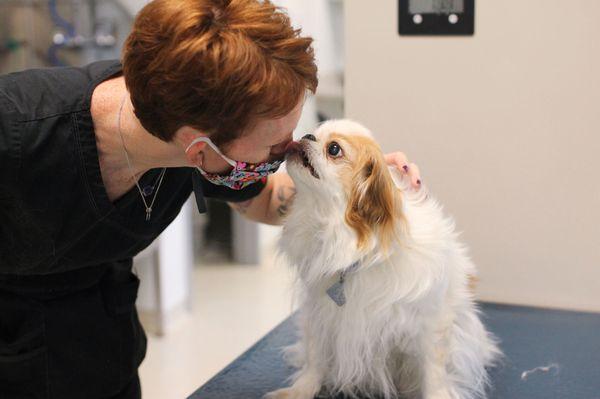 Vet tech shares a sweet moment with a dog in the animal hospital