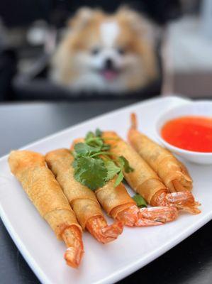 Tôm Chiên Giòn: "Shrimp Tempura" | 5 pc - $15 (it's Viet shrimp egg rolls)