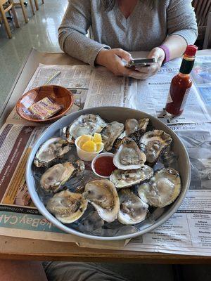 Delaware Bay Bivalves