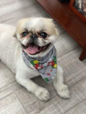 So happy to have his haircut