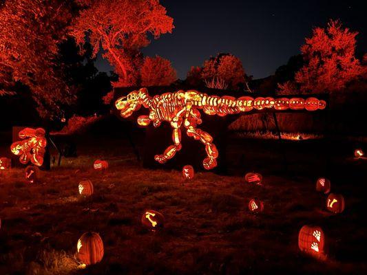 Dinosaur made out of pumpkins