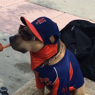 Outside CitiField with thus cute Mets fan.