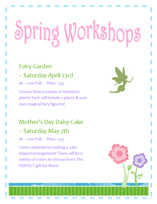 Spring Workshops! Fairy Gardens April 23rd Mothers Day Daisy Cake May 7th