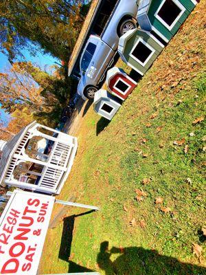 Shopping for sheds?