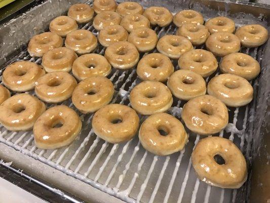 Glazed donuts were so fresh, airy, and fluffy not oily at all.