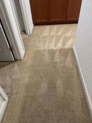 First Class Carpet Restoration