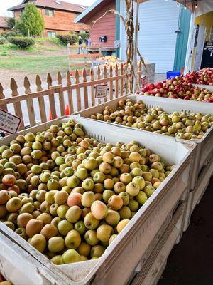 Kiyokawa Family Orchards