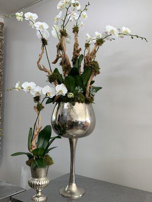 Order your Orchid at www.blakeroes.com