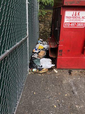 Smell, vermin and bees whenever you have to take your garbage out