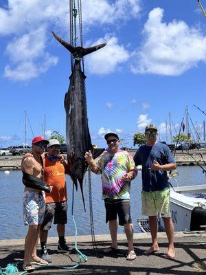 Blue marlin caught on Bob Marlin