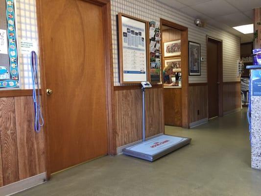 Doors to exam rooms