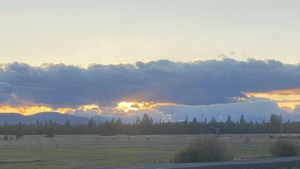 View off the patio