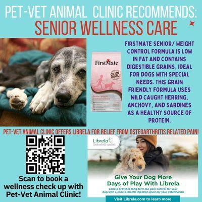 Senior Wellness Care at Pet-Vet Animal Clinic