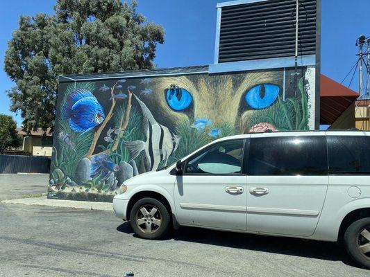 Exterior of the aquarium store. Look for the 2 big cat eyes!