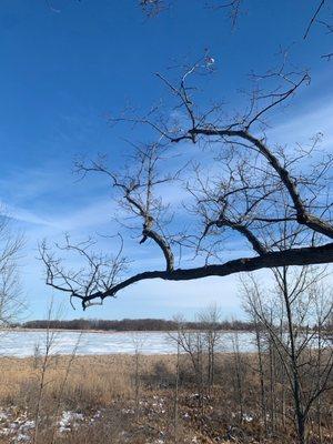 Views on the hike around Bay City State Recreation Area / Tobico Marsh