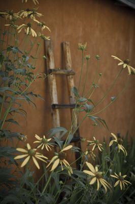 Pecos River Cabins grounds