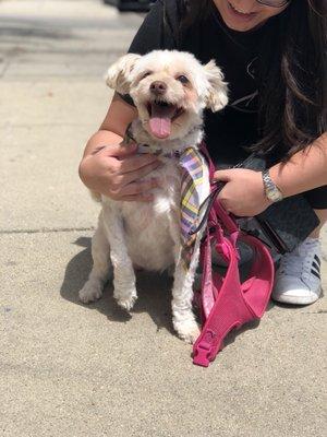 Mocha looking so happy like she just got out of a spa!