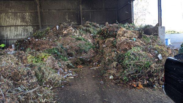 Green waste - actually quite tidy