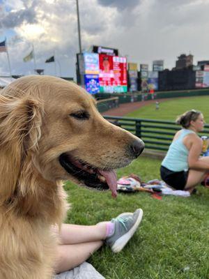 Frontier Field