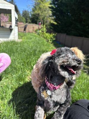 So happy with her groom