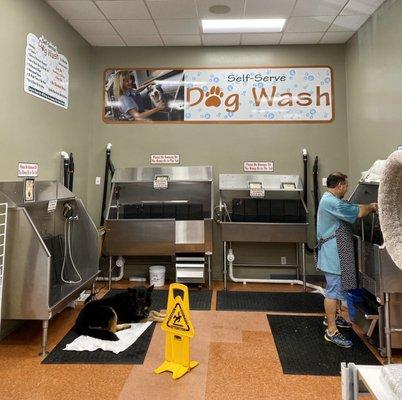 Self serve dog wash