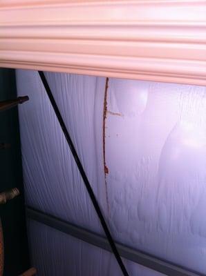 one of the many leaks in the ceiling. Notice the bulging water in the insulation