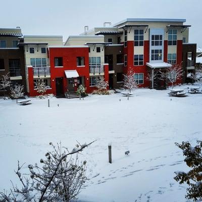 Courtyard in the winter