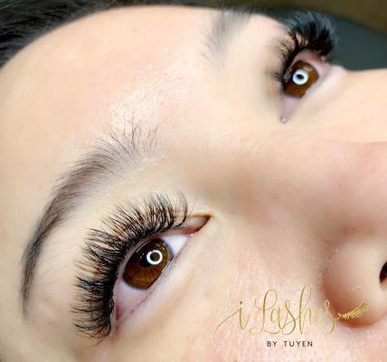 4D Volume Lashes