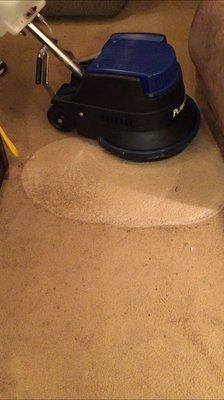 Carpet scrubber in action