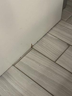 Bathroom floor