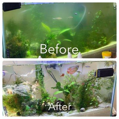 Aquarium BEFORE & AFTER  I restored it to pristine condition