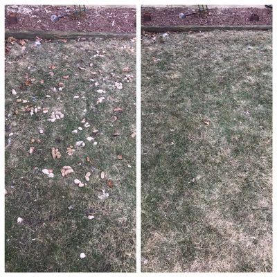 Before and after photo of one of our cleanups.