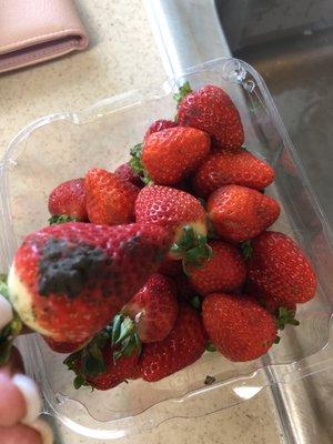 Strawberries