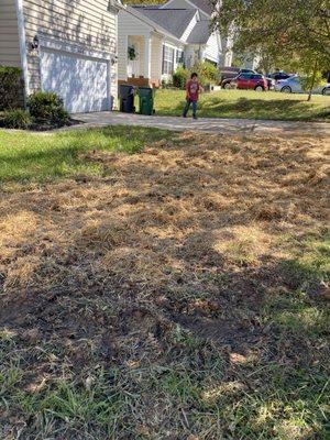 Water main backfilled , seeded , & straw spread out.