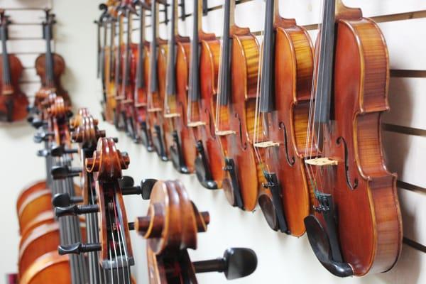 Wall of Violins