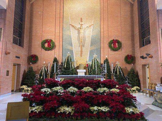 The alter decorated for Christmas