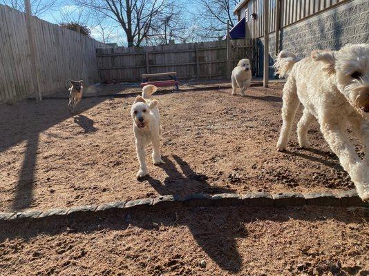 Outdoor Playtime