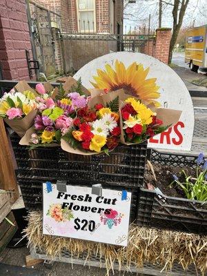 exterior flowers for sale