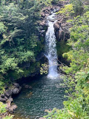 Zipline goes right past this beautiful waterfall!