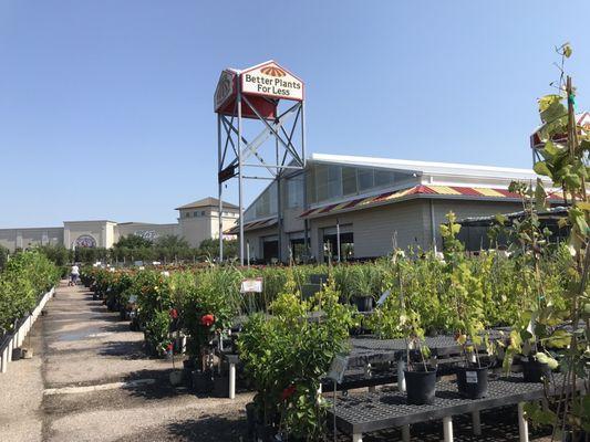 Houston Garden Centers