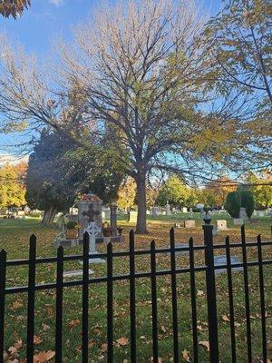 Nice day for a Cemetery walk!