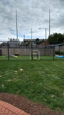 Doggie play area