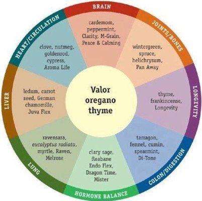 Raindrop Technique Chart, essential oil application to reduce inflammation and pain.